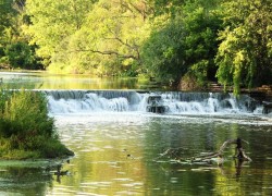 Warrenville Grove Waterfall