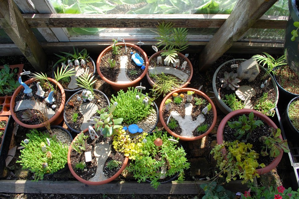 fairy houses in the greenhouse