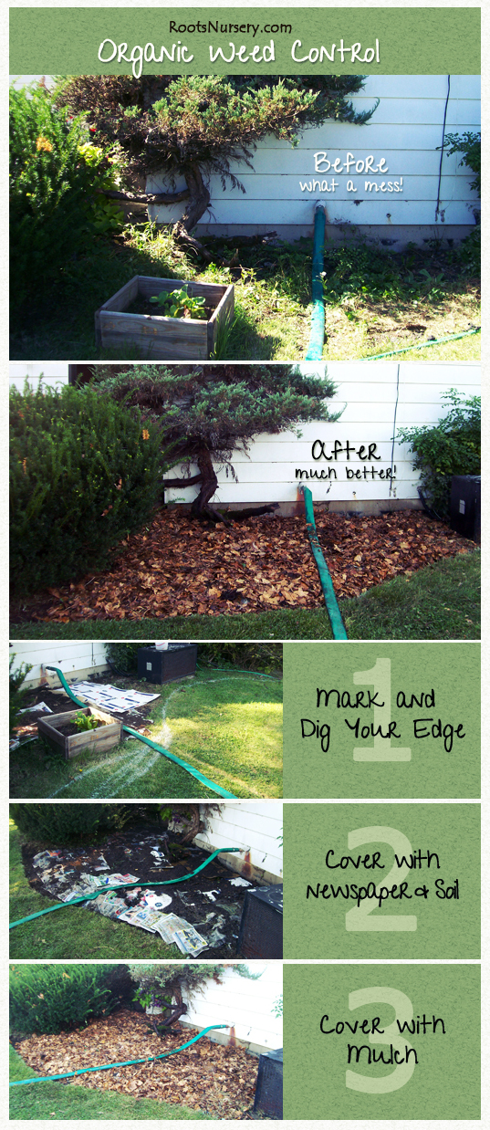 organicweedcontrol