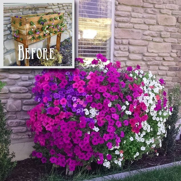 pallet garden ideas - flowers-hertoolbelt