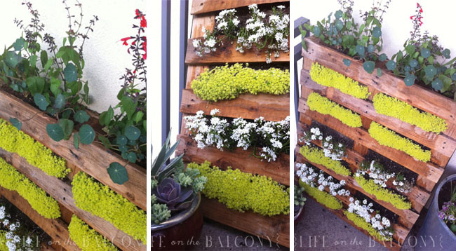 pallet garden ideas -flowers-lifeonthebalcony