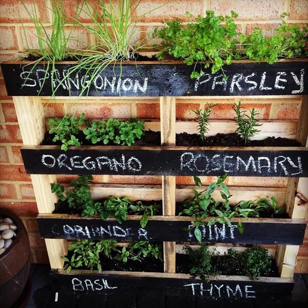 pallet garden ideas for herbs-99pallets