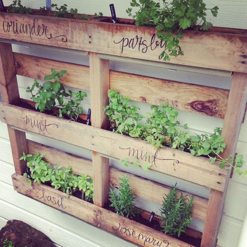 pallet garden ideas -herbs-zina