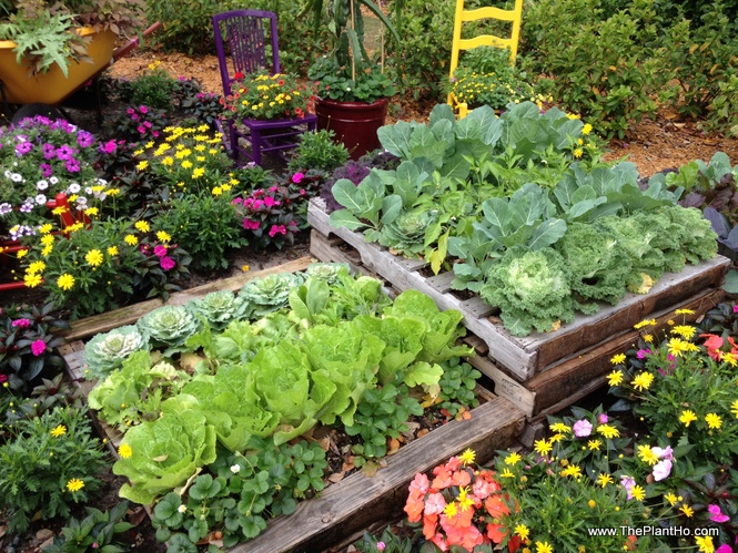 pallet garden ideas - vegetables-plantho