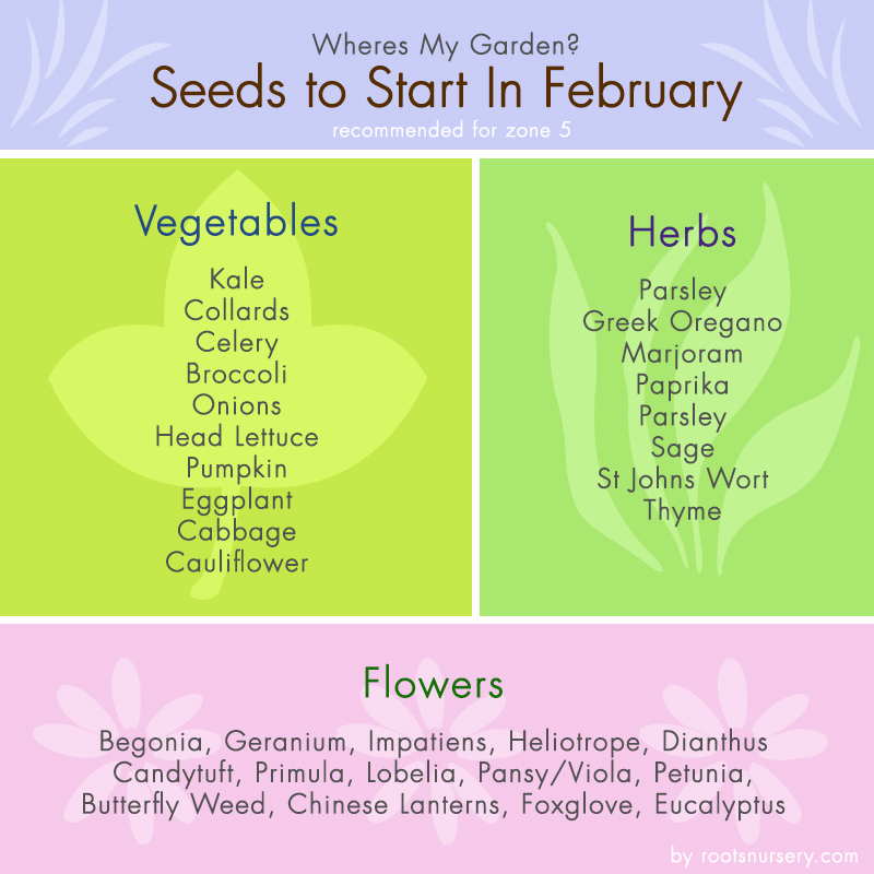 Starting Vegetable Seeds Indoors Chart