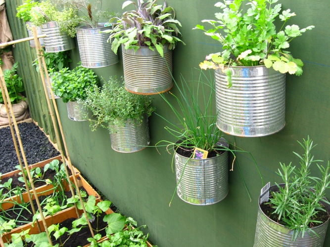 vegetable-garden-ideas-2