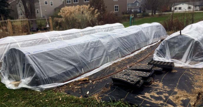 Cold Frame Low Tunnels