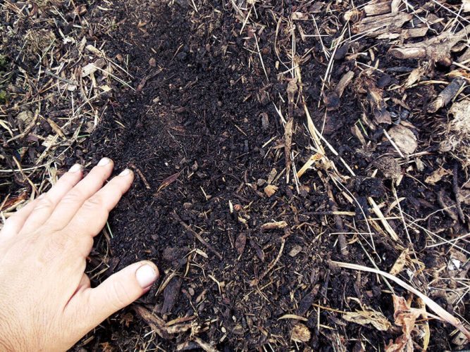 Soil Preparation Method Results