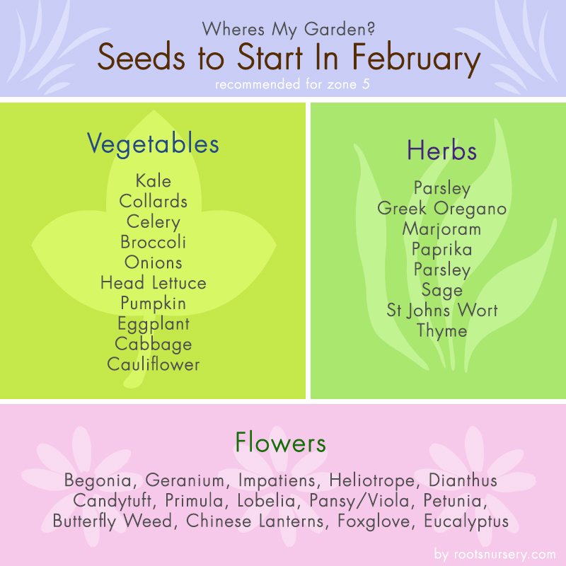 Seed Chart – Seed Starting In February